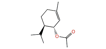 trans-Piperityl acetate